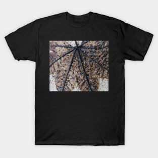 Impermanence T-Shirt